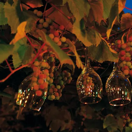 Und Restaurant Eurohof 4*