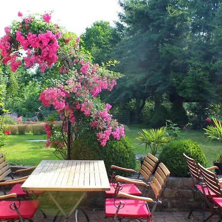 Und Restaurant Eurohof 4* Duisburgo