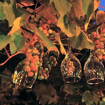 Und Restaurant Eurohof 4* Duisbourg