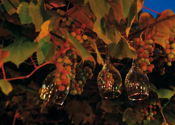 Und Restaurant Eurohof 4*